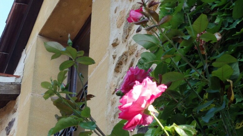 Bouillatou