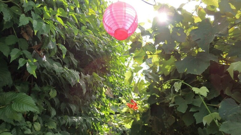 Bouillatou