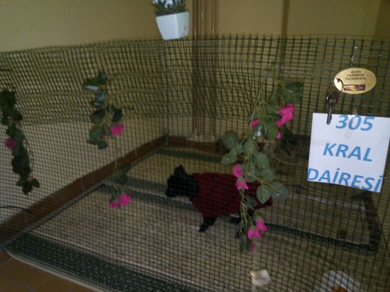 Pension Altin Pansiyon