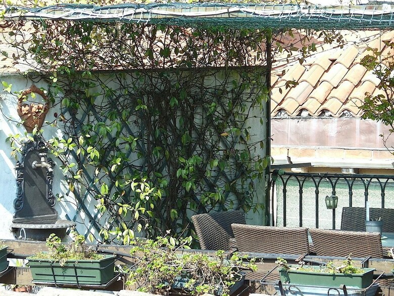 Apartamento Residenza Contarini