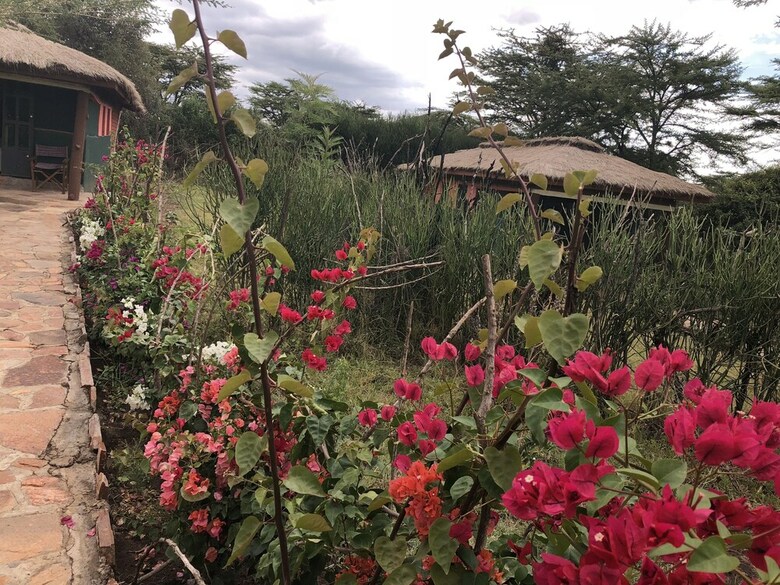 Oldarpoi Mara Camp