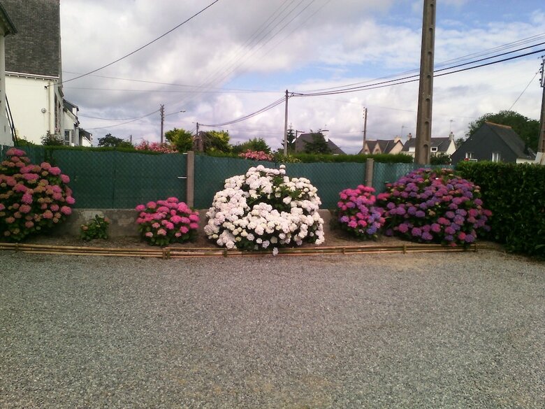 Apartamento Les Hortensias