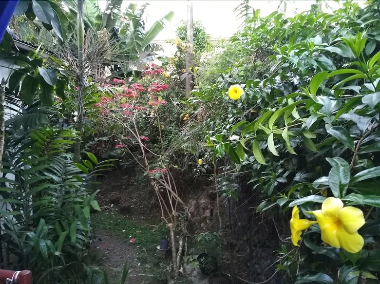 Hostal Colonial Lodge Hostel