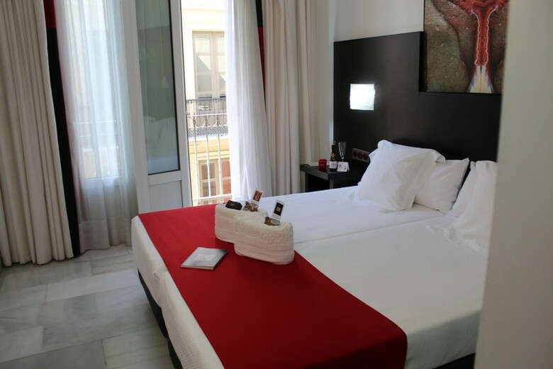 Hotel Del Pintor