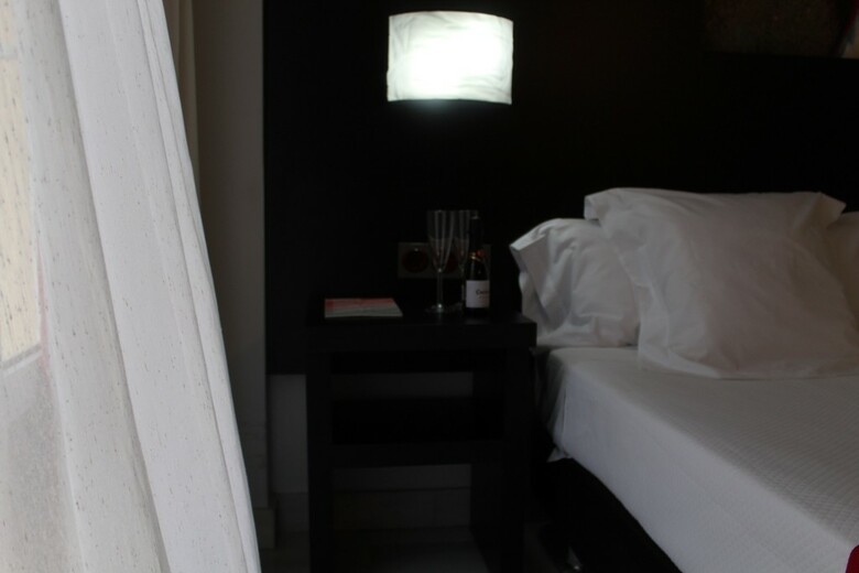 Hotel Del Pintor