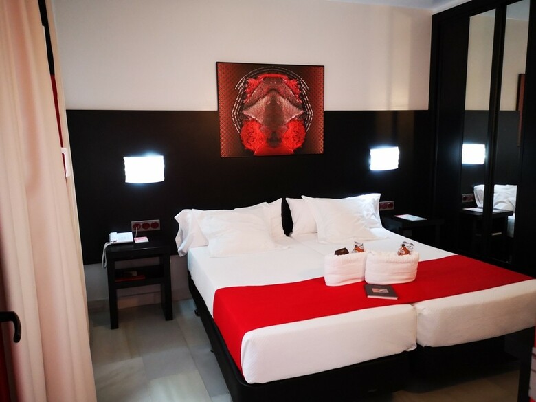 Hotel Del Pintor