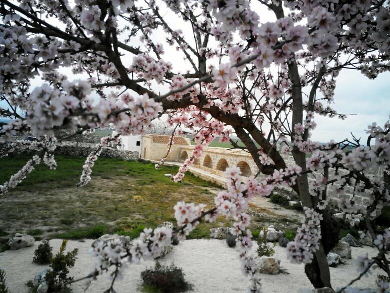 Bed & Breakfast Masseria Conti Filo