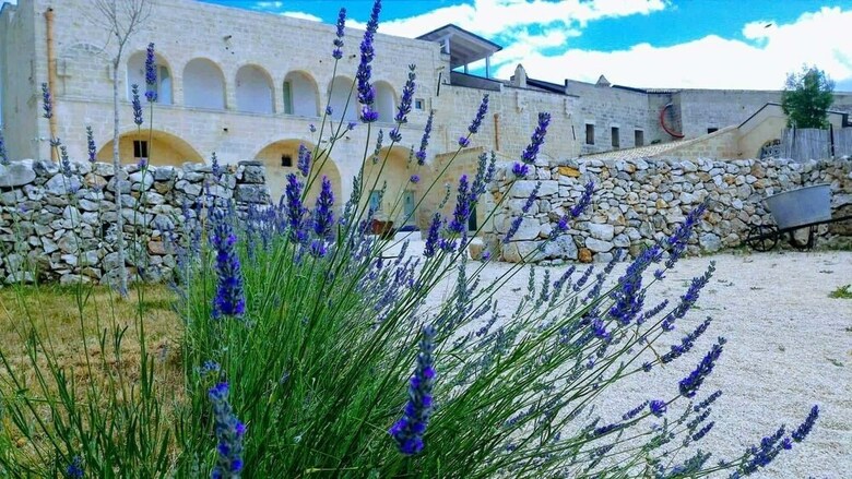 Bed & Breakfast Masseria Conti Filo