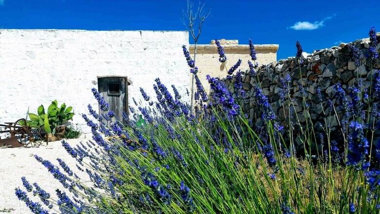 Bed & Breakfast Masseria Conti Filo
