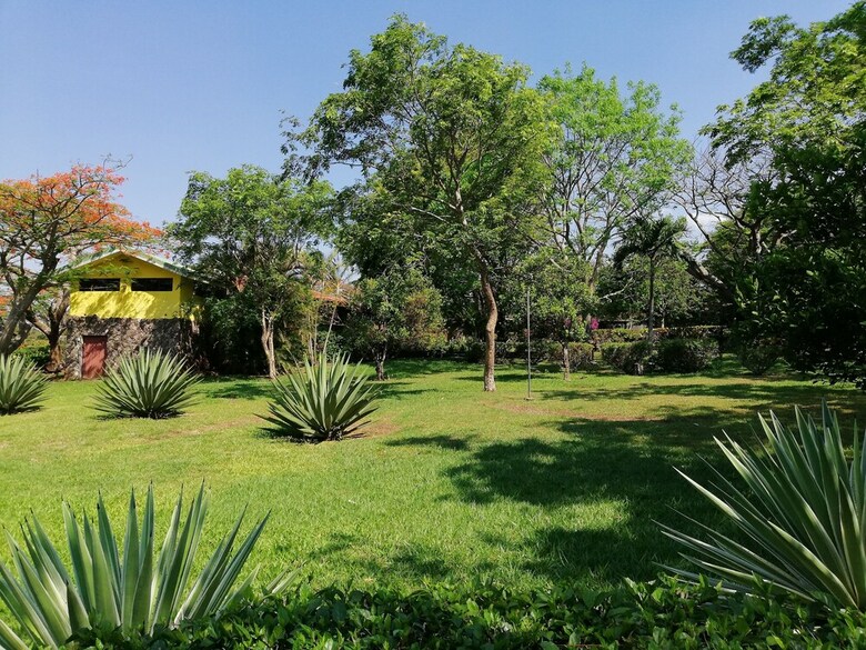 Hotel Rincon de La Vieja Lodge