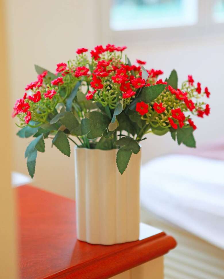 Spring Hotel