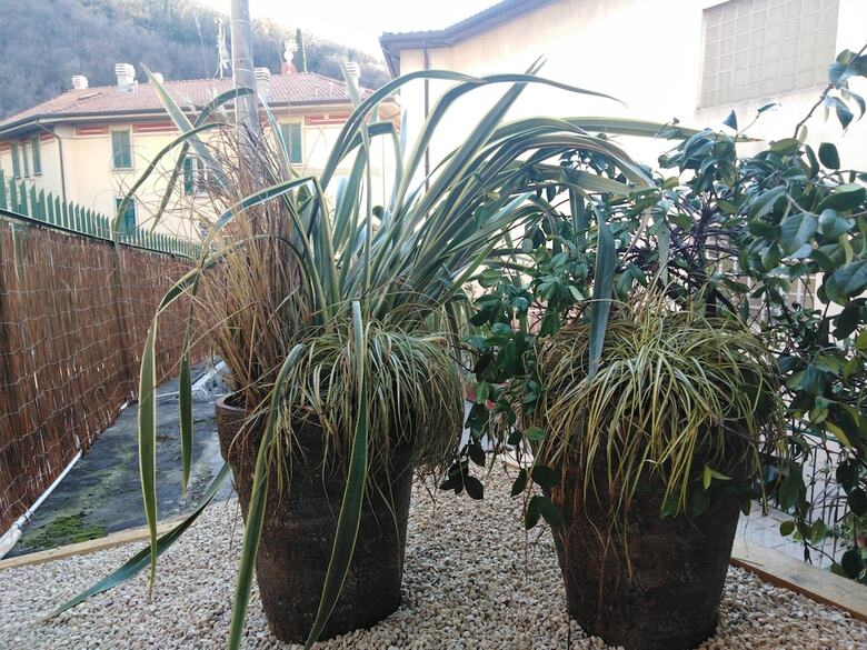 Apartamento Varenna Sweet Home