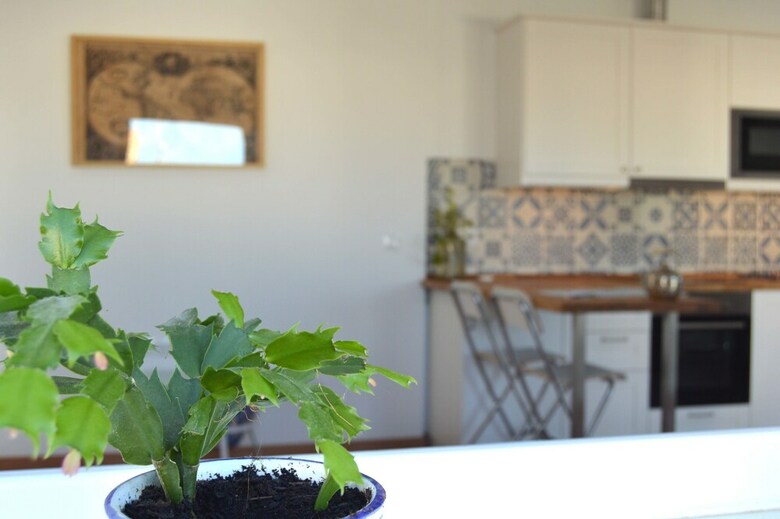Apartamentos �tico Gaspar Del Pino