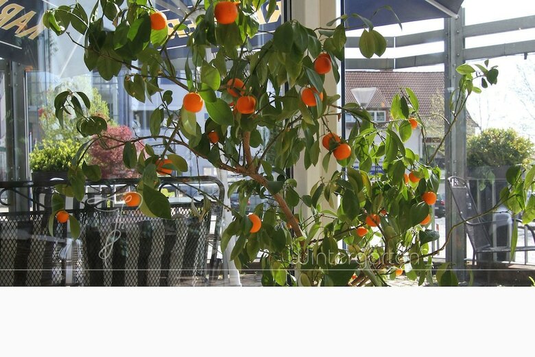 Hotellerie  Hubertus