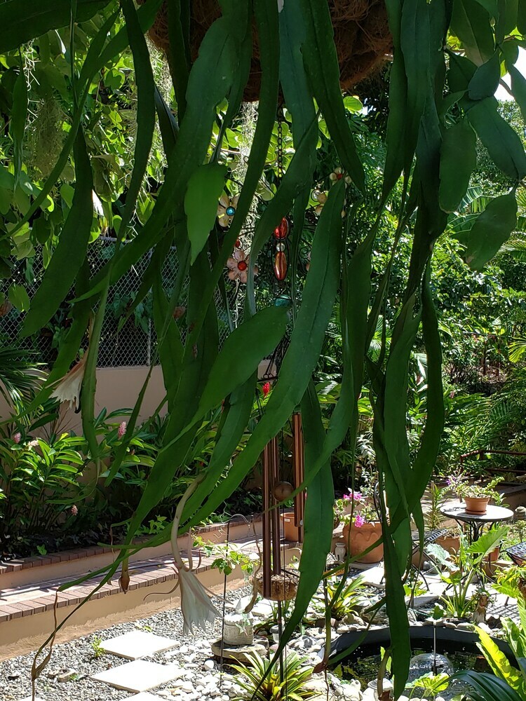 Apartamentos Millsborough Bnb