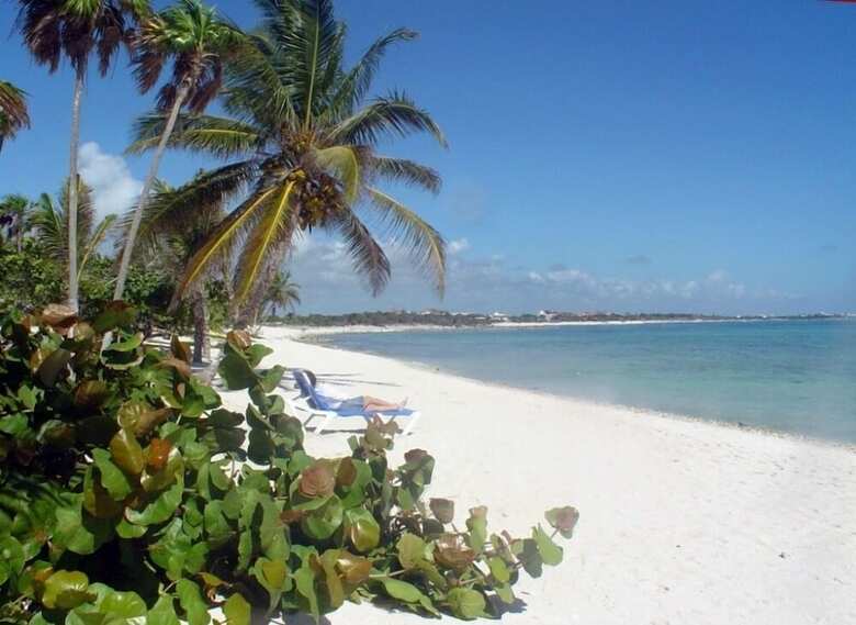 Hotel Alea Tulum By Blue Sky