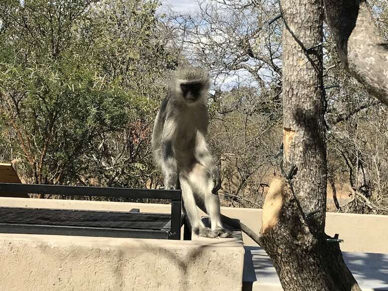 Posada Lindiwe Safari Lodge