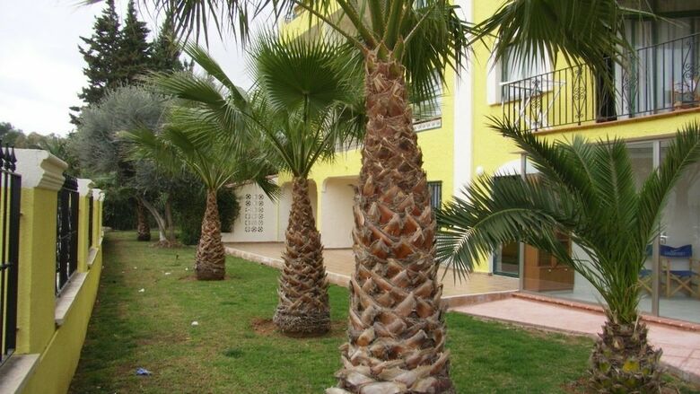 Apartamentos Marineu Sol Y Mar D�plex