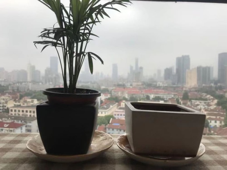 Apartamentos Shanghai Milu Home