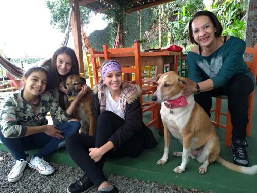 Joinville Hostel & Pousada