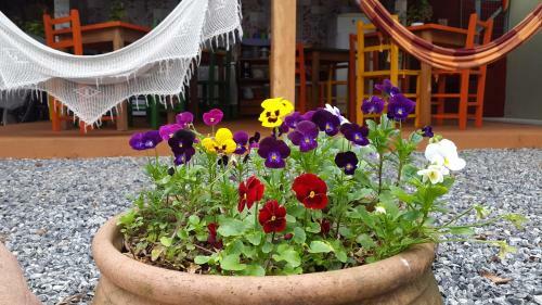 Joinville Hostel & Pousada