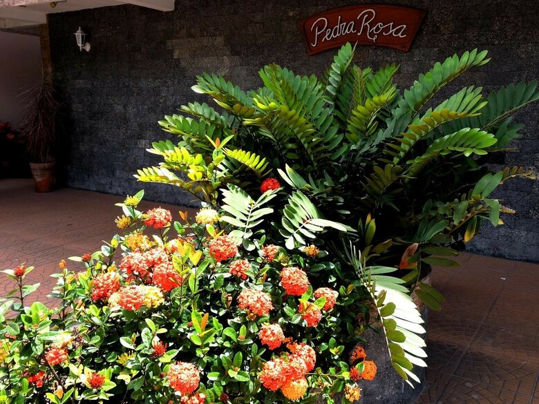 Hostal Pousada Pedra Rosa