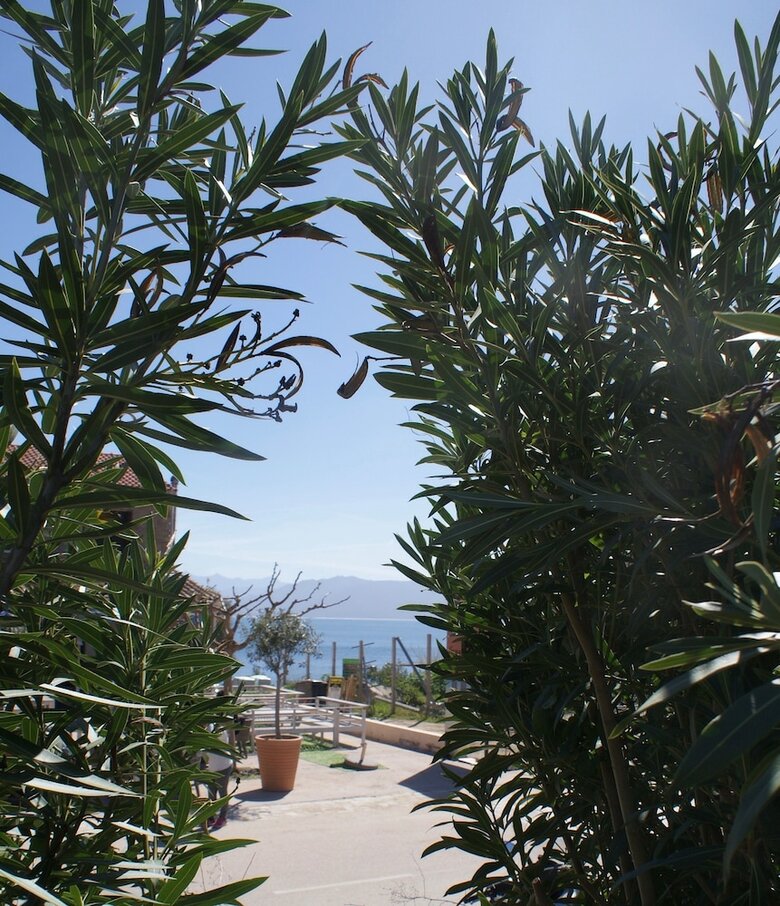 Apartamento A.casan�ra