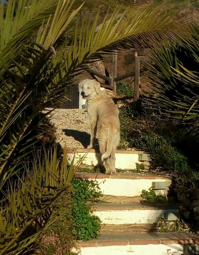Bed & Breakfast Casa Colina