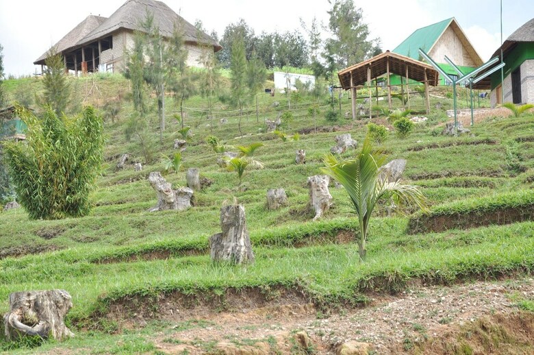 Posada Nyungwe Nziza Ecolodge
