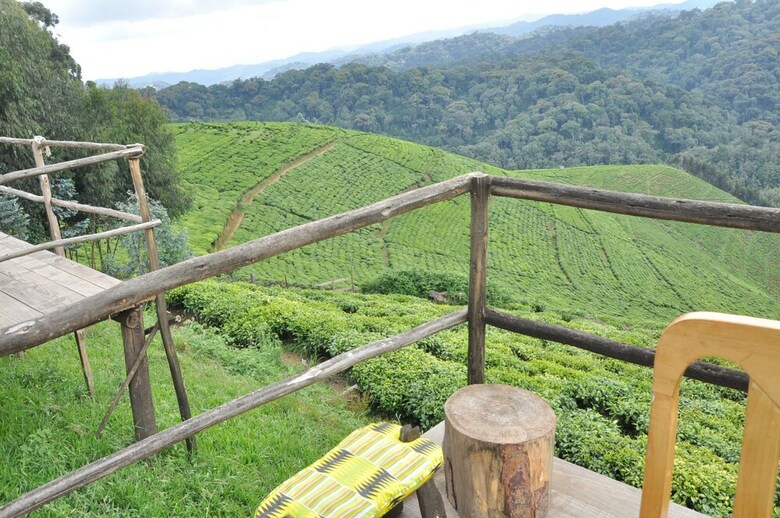 Posada Nyungwe Nziza Ecolodge