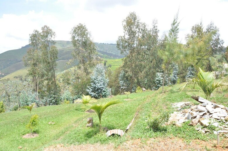 Posada Nyungwe Nziza Ecolodge
