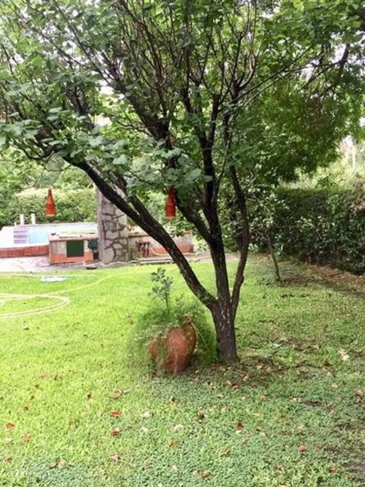 Casa de Hu�spedes El Trebol