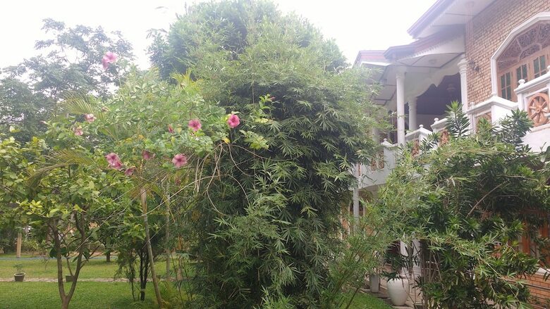 Hostal Serendib Garden Resort
