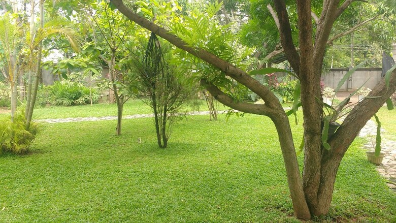 Hostal Serendib Garden Resort