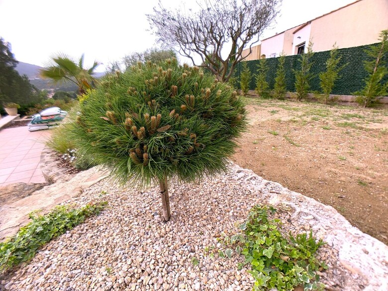Homeplace Villa Provencale