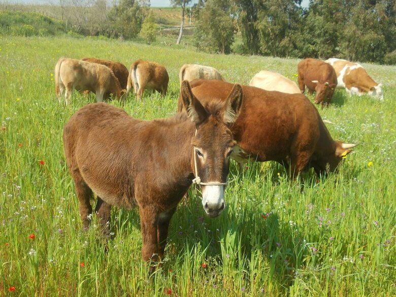 Agroturismo Agriturcostabaira