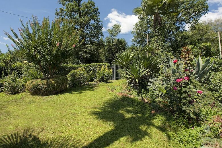 Apartment Garden With Swimming Pool
