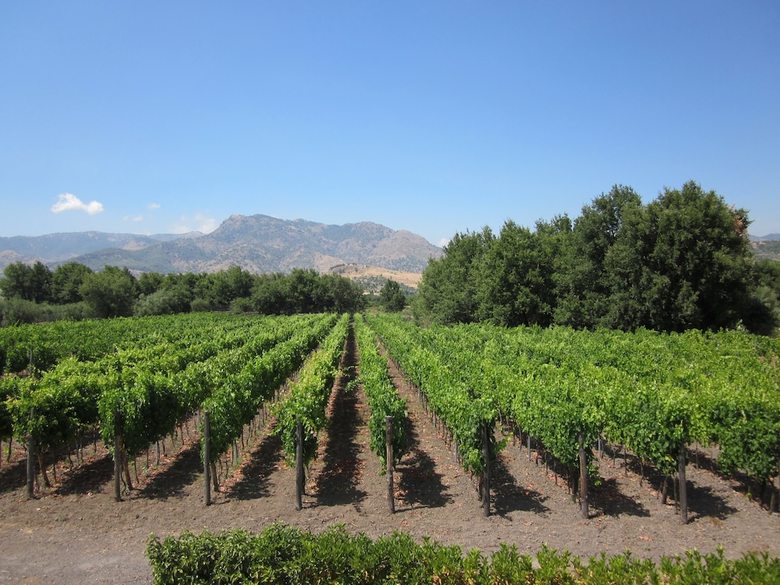 Agroturismo Tenuta Antica Cavalleria