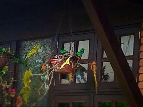 Lodge Recanto Marazul