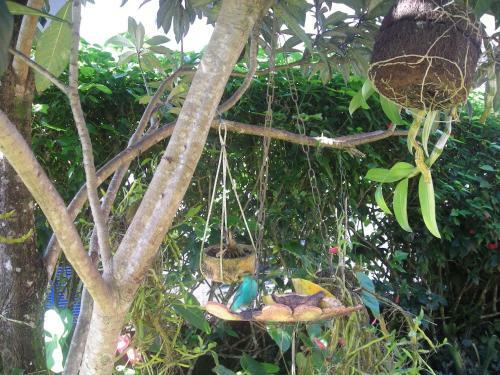 Lodge Recanto Marazul