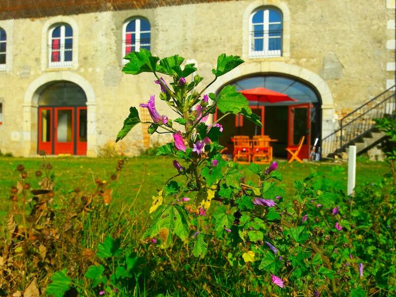 Domaine Lou Castet B&B