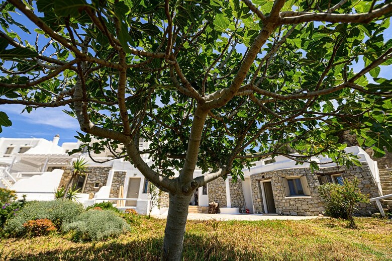9 Muses Villas Mykonos