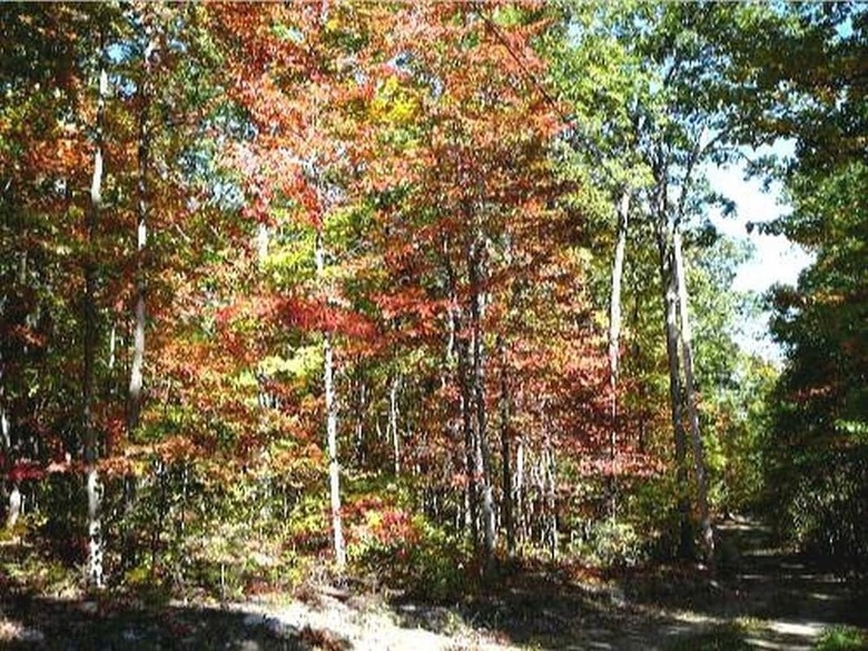 Cabana Browns_log_cabin