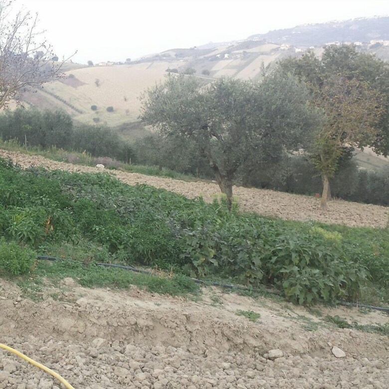 Agroturismo Agriturismo La Fortezza