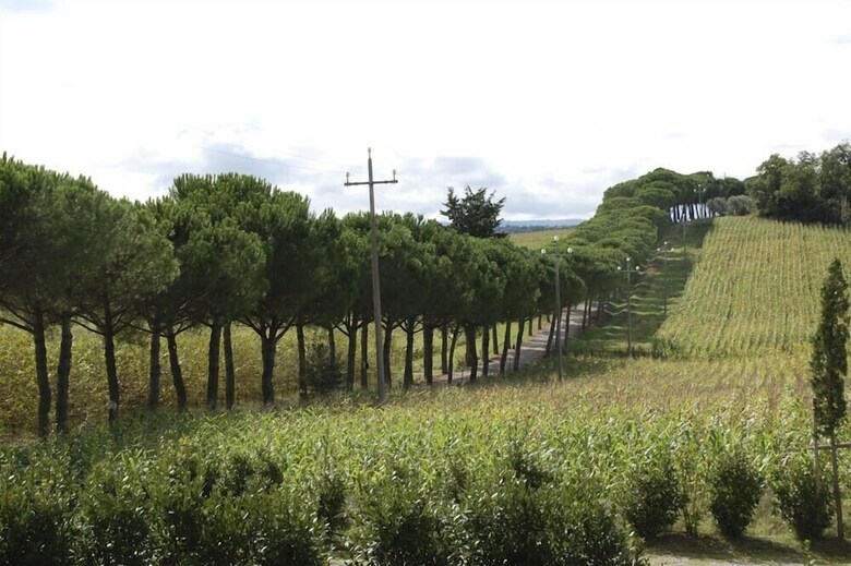 Verdidea - Villa Vera