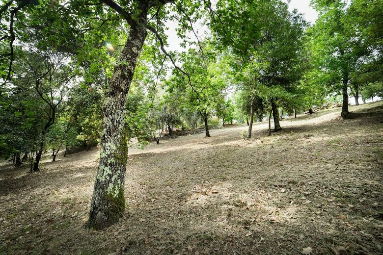 Agroturismo Serraiola Alta