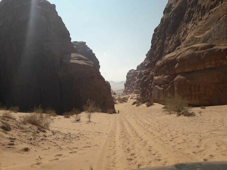 Desert Lovers Camp