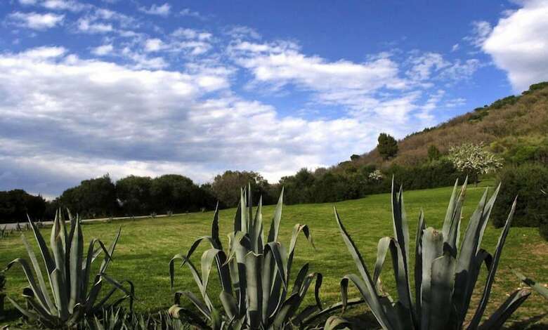 Villa Verdidea - Torre Spagnola