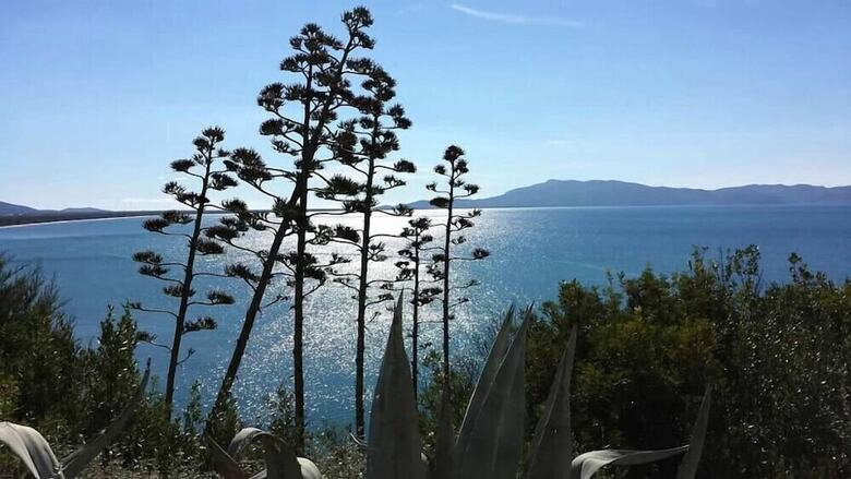 Villa Verdidea - Torre Spagnola
