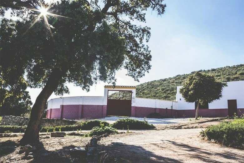 Casas Rurales La Ca�ada
